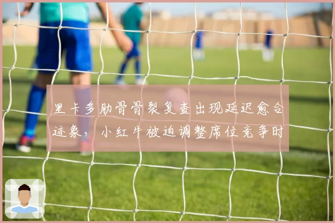 里卡多肋骨骨裂复查出现延迟愈合迹象，小红牛被迫调整席位竞争时间表