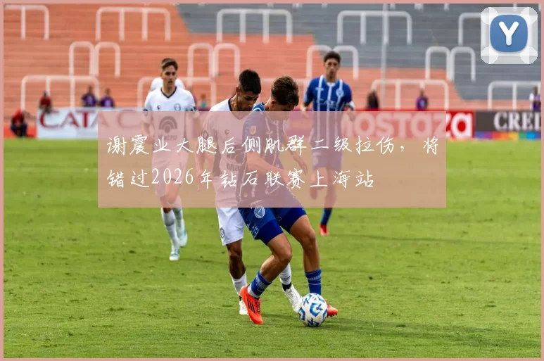 谢震业大腿后侧肌群二级拉伤，将错过2026年钻石联赛上海站