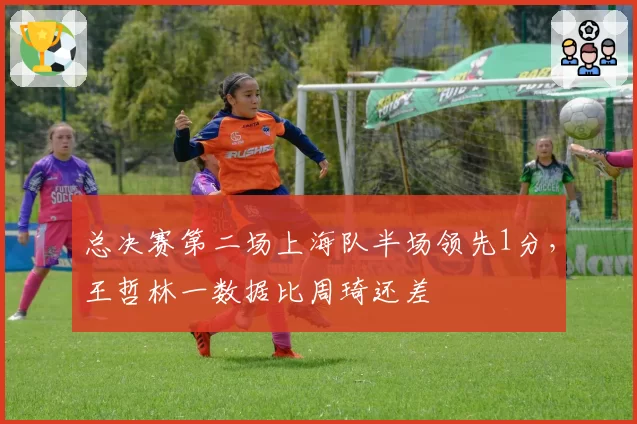 总决赛第二场上海队半场领先1分，王哲林一数据比周琦还差